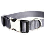 Ash Grey Nylon Webbing Dog Collar