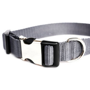 ash_webbing_collar