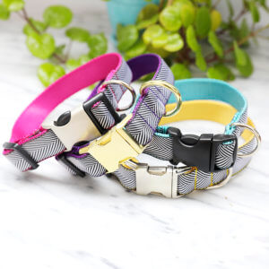 black and white herringbone dog collar