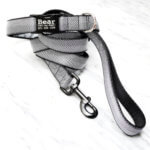 Herringbone Ribbon Dog Leash - 15 Colors