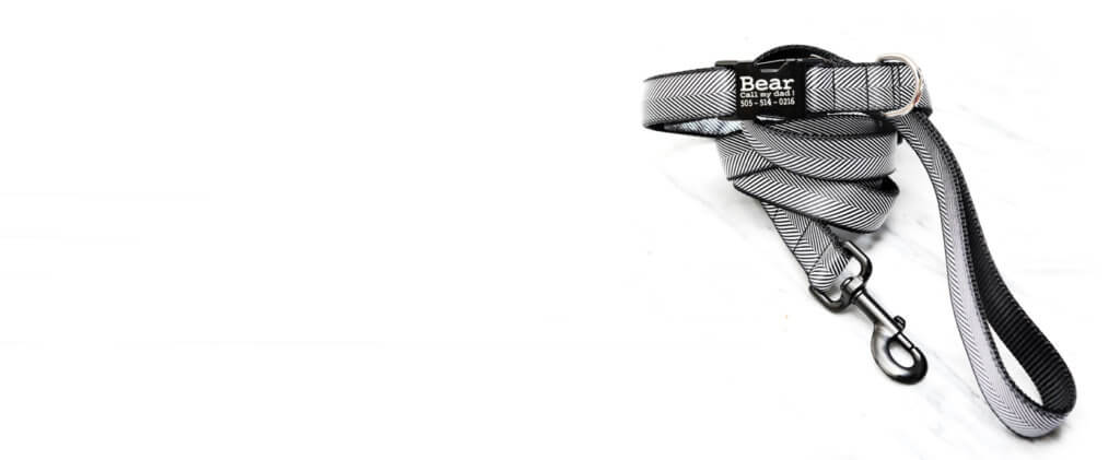 collection banner with black herringbone collar stacked on leash