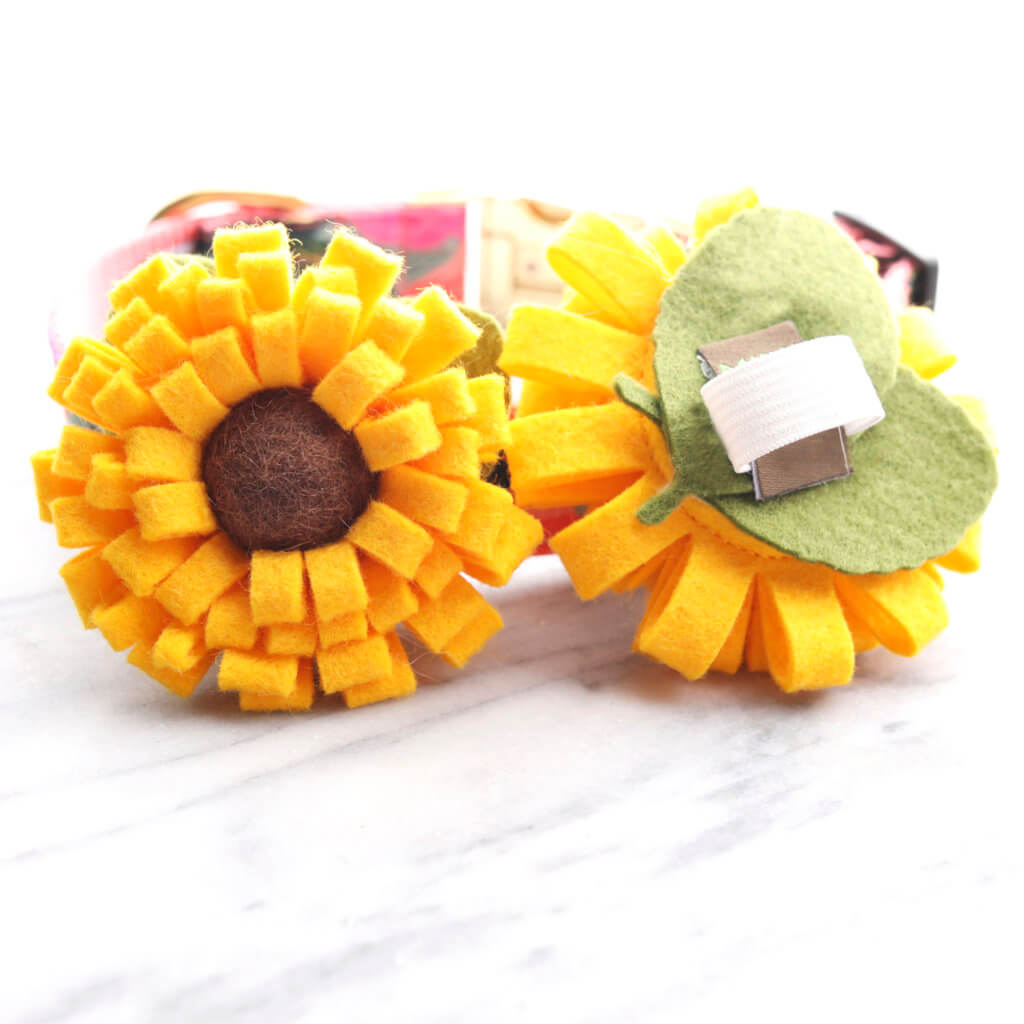 dog collar sunflower back