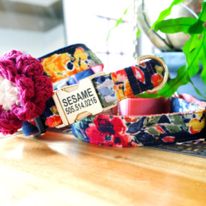 flannel dog collar personalized floral maizie