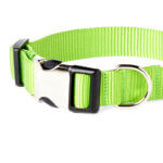 Apple Green Nylon Webbing Dog Collar