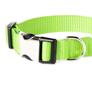 green apple dog collar