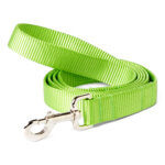 Green Apple Webbing Leash