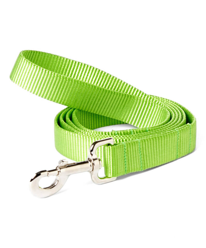 Apple Green Nylon bing Dog Collar