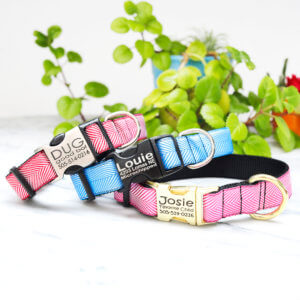 herringbone dog collar