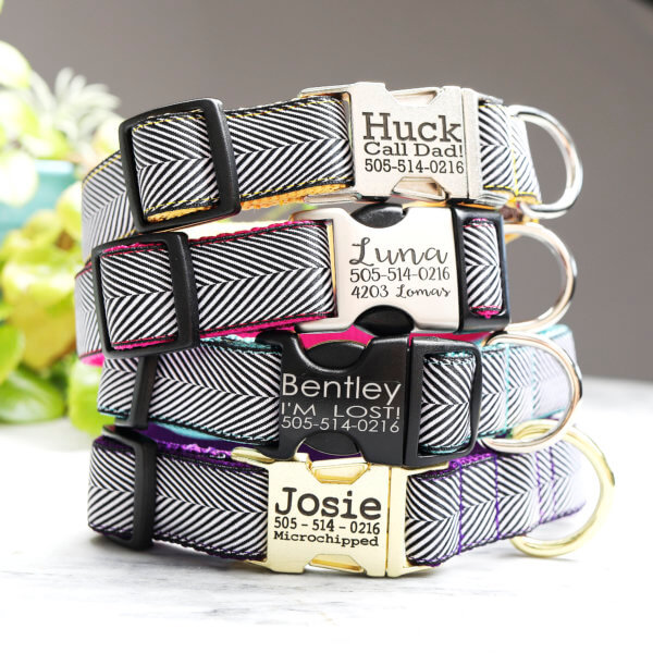herringbone dog collar colorful