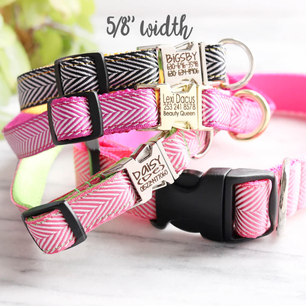 herringbone dog collar for tiny dog