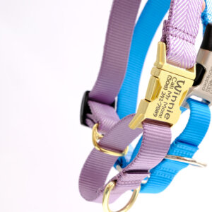 herringbone martingale loop