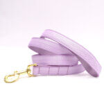 Herringbone Ribbon Dog Leash - 15 Colors