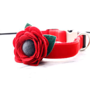 poppy dog collar flower red