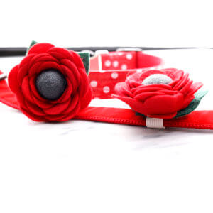 red dog collar flower