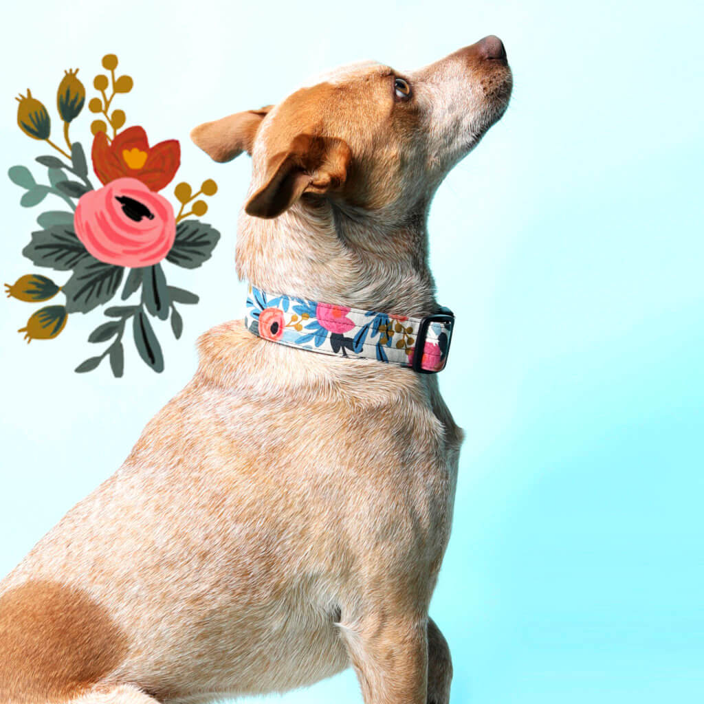 Customizable Luxury Dog Collar Handmade Soft Leather 