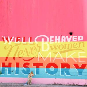 fox herringbone collar and leash mural