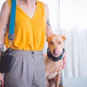 Blue velvet bag strap