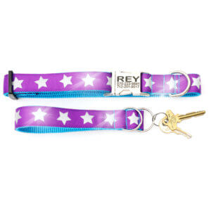 purple reflective star dog collar