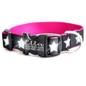 reflective stars dog collar