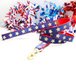 Superhero Stars Dog Leash - 16 Style Options
