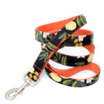'Olea' Fruit & Floral Dog Leash - Rifle Paper Co Fabric