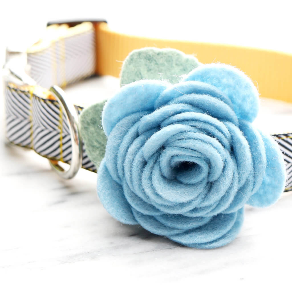 Columbia Blue