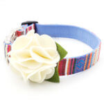 Dog Collar Hydrangea Flower - Angel Wings Cream