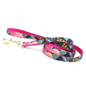 rifle paper co dog leash
