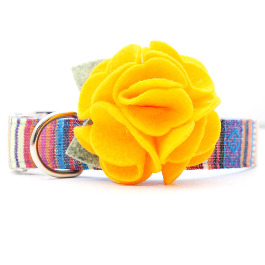 Goldenflowers Dog Collar – The Foggy Dog