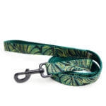 Leash