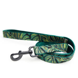 monstera plant dog leash jungle rifle paper co