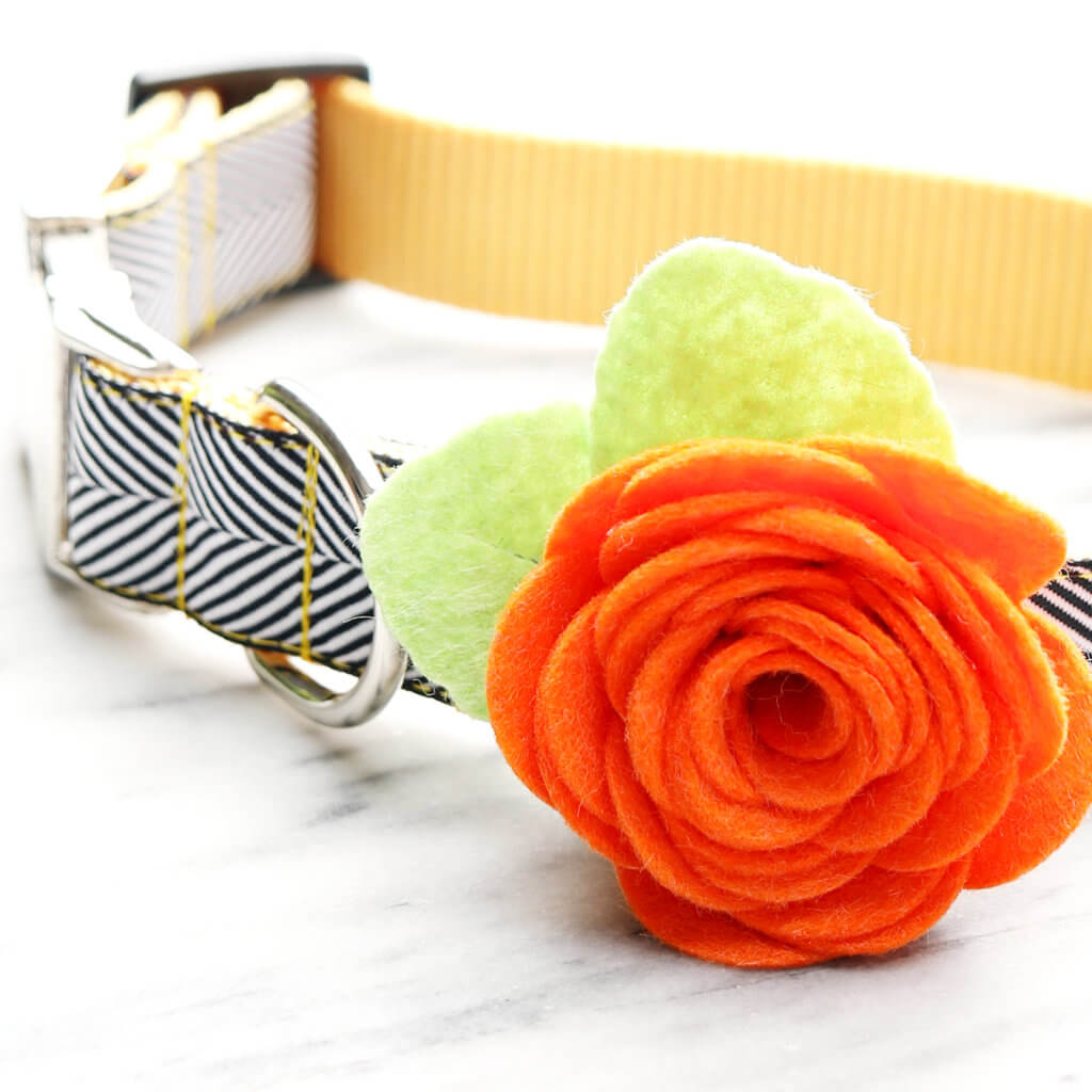 Hallow's Eve Orange