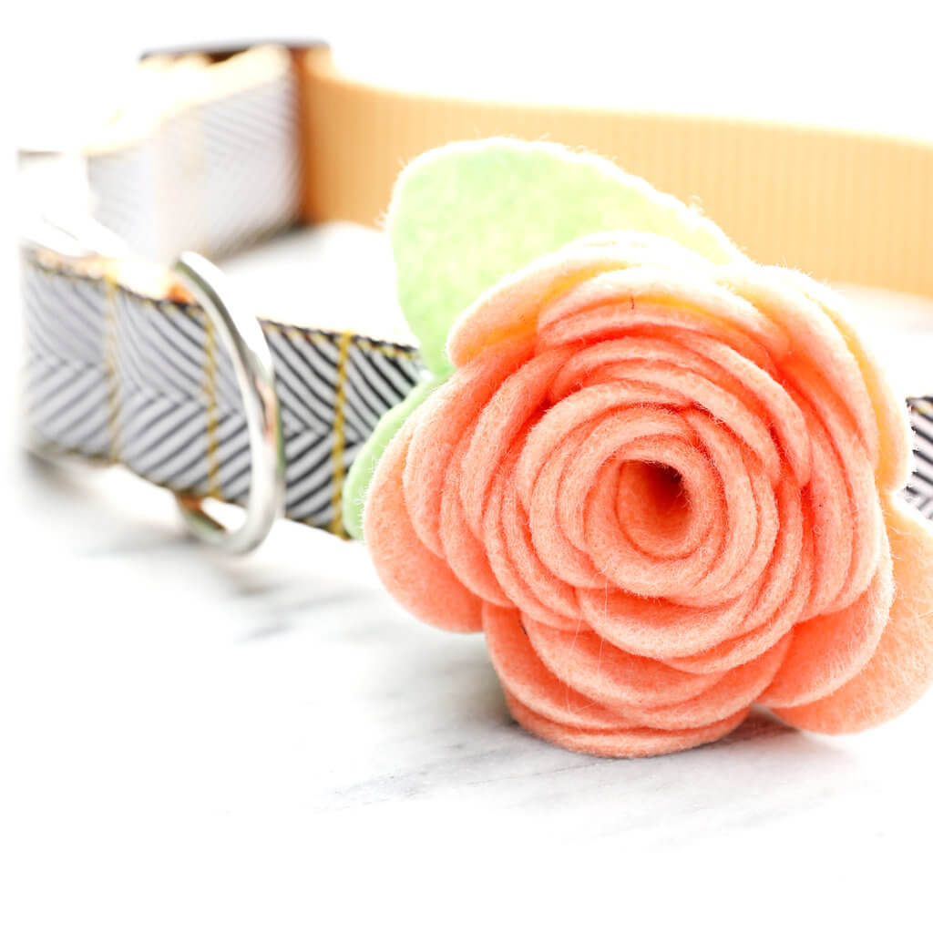Georgia Peach
