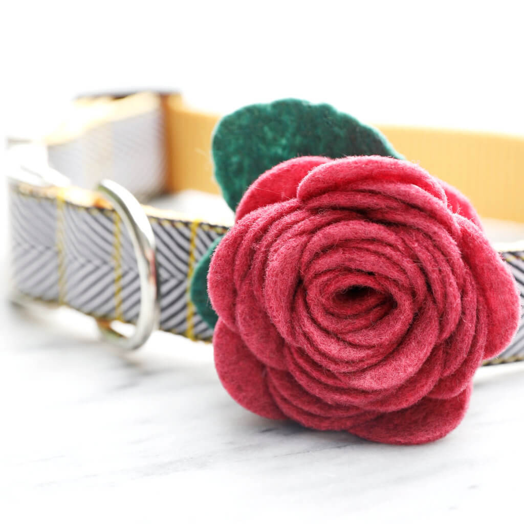 Ruby Pink