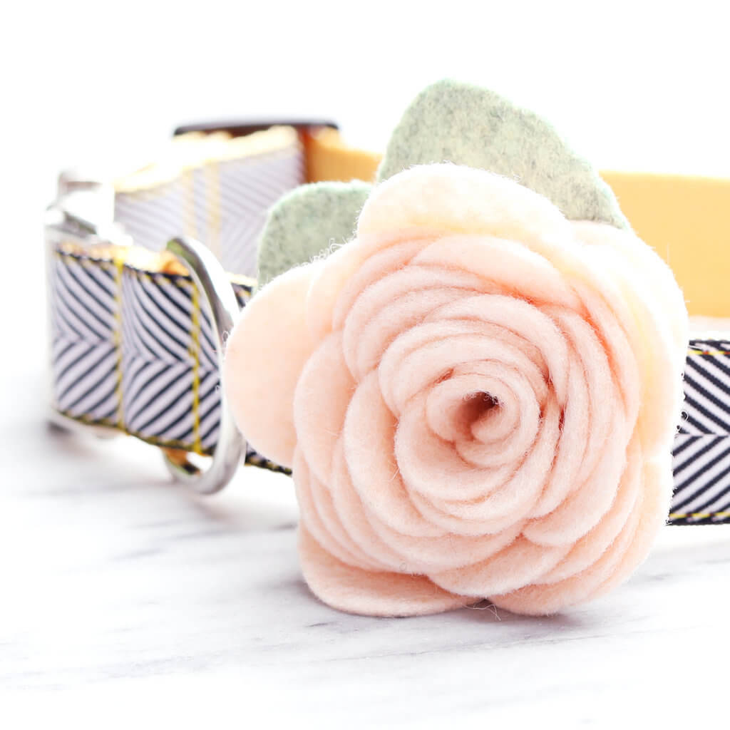 Dog Collar - Soft Collar For Dogs - Pink - Flowers - Roses - You are  Llamazing - Paw My God!