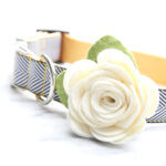 Dog Collar Rose Flower - Angel Wings Cream