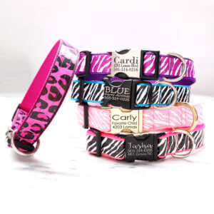animal print dog collars