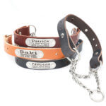 Leather Martingale Dog Collar with ID Riveted Nameplate