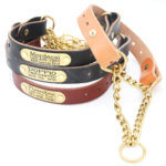 Leather Martingale Dog Collar with Brass Riveted Nameplate