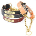 Dog collars best sale leather with nameplate