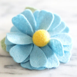 blue dog collar daisy