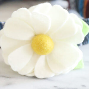 daisy dog collar cream