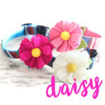 Dog Collar Daisy Flower -- 26 Colors!