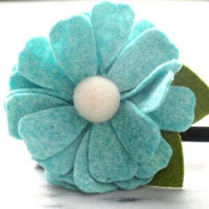 teal dog collar daisy