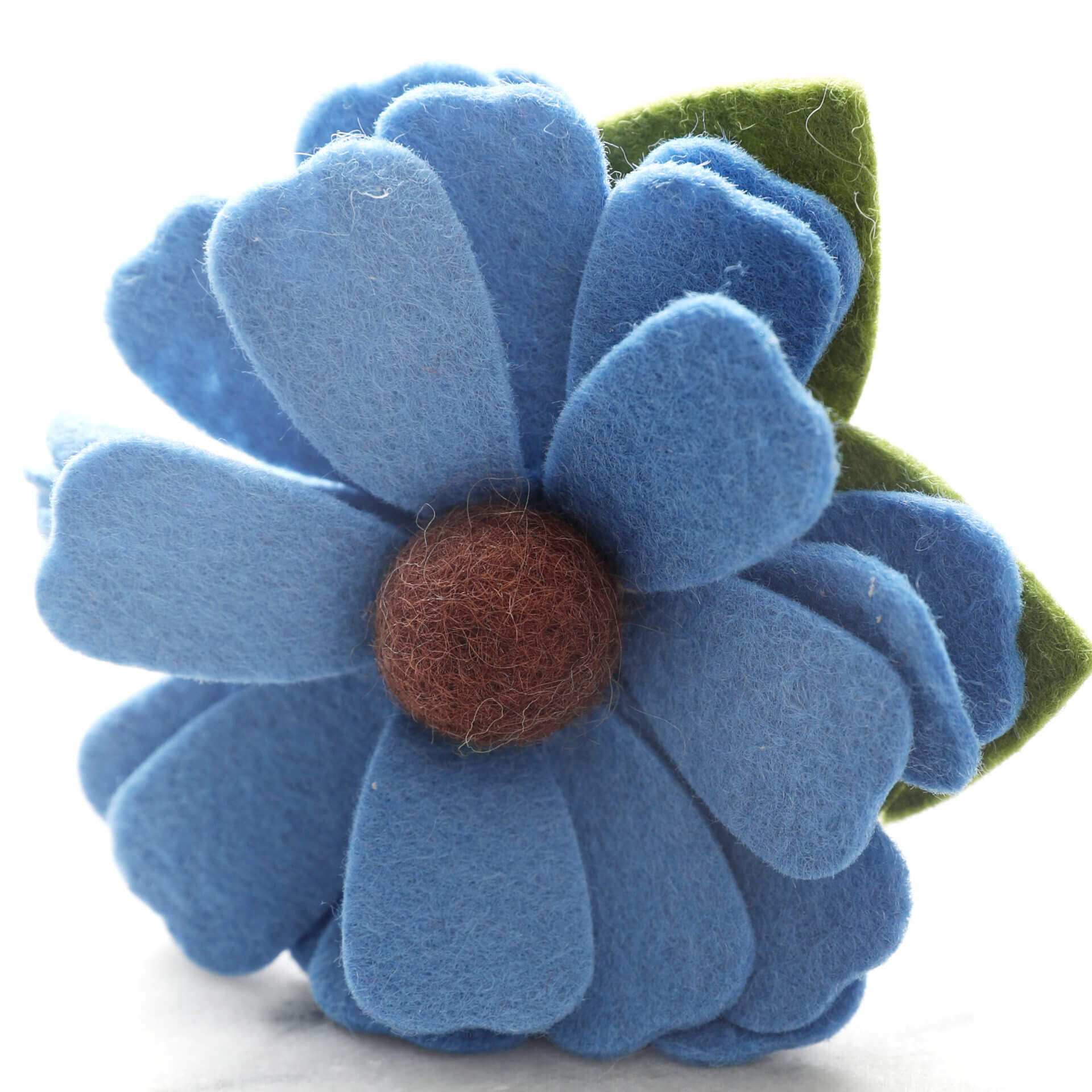 Norwegian Blue