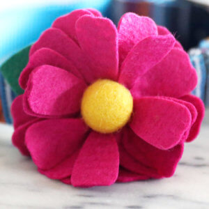 bright pink dog collar daisy flower