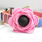 DD: Dog Collar Poppy Flower - Pixie Pink