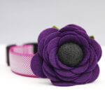 Poppy Dog Collar Flower - Purple Rain