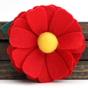 red dog colllar flower daisy