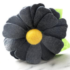 grey dog collar daisy